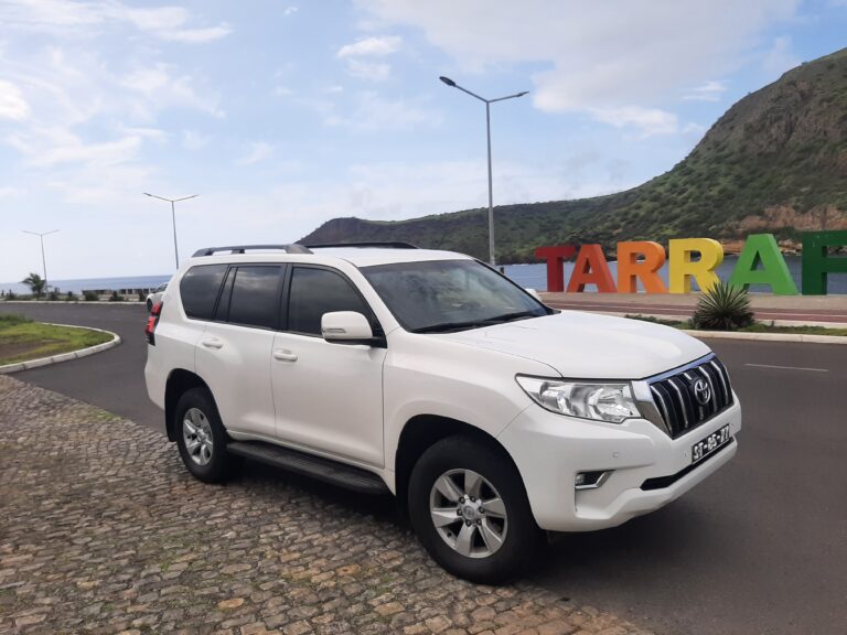 VIP Executive Transfer – Toyota Prado