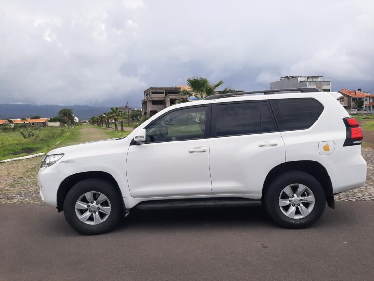 VIP TRANSFER